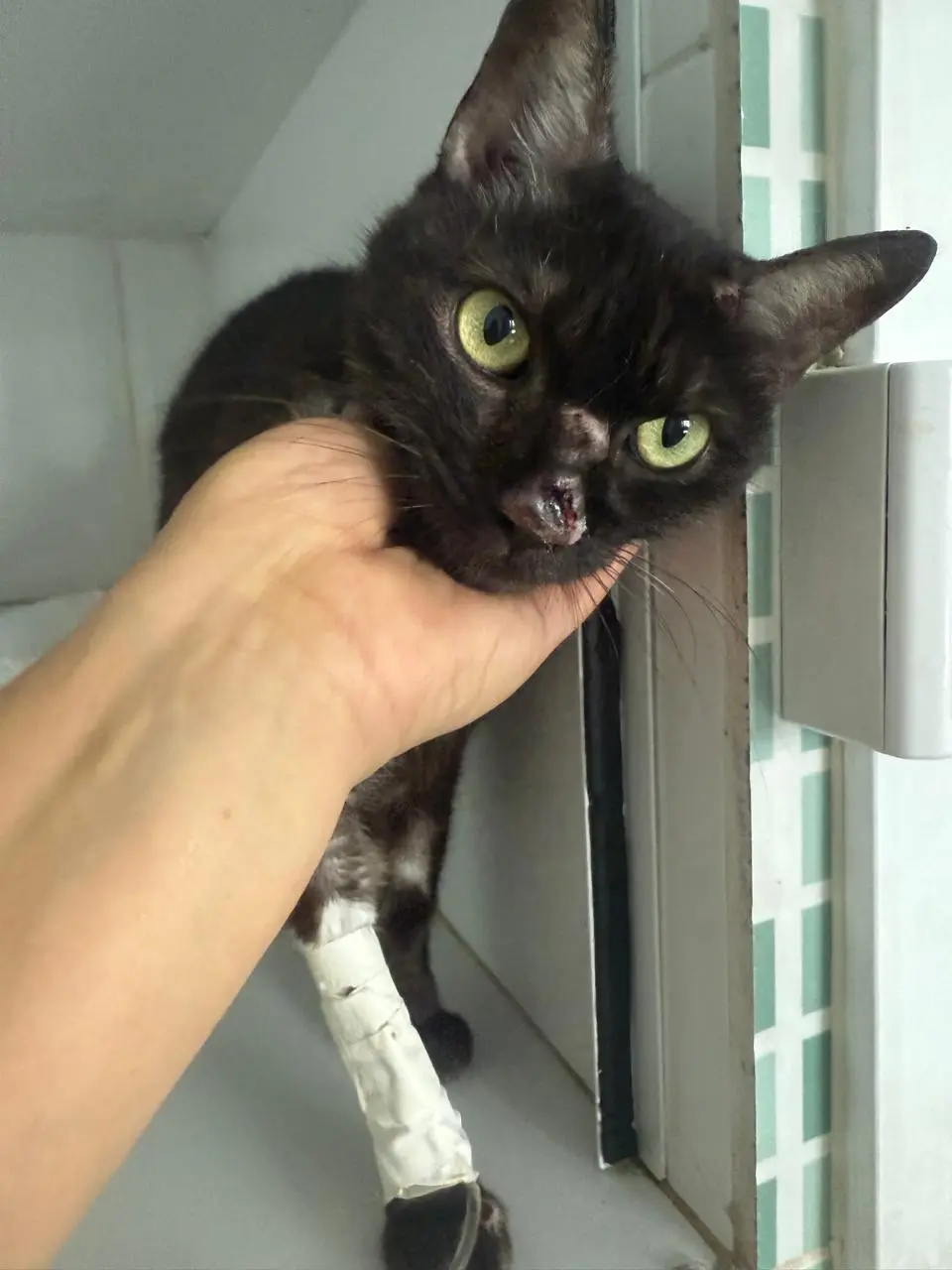 Manoel antes do resgate