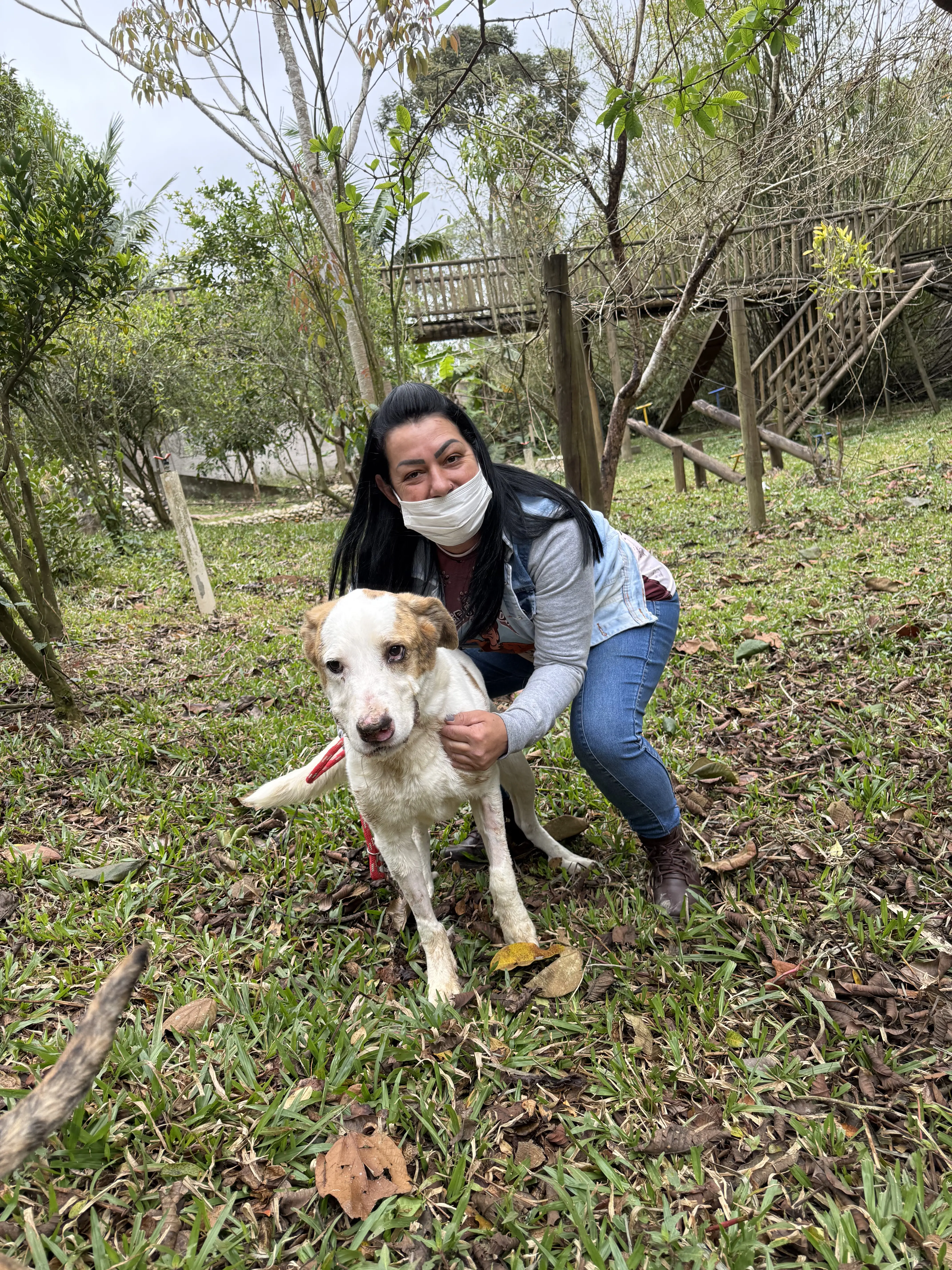 Chacal depois do resgate