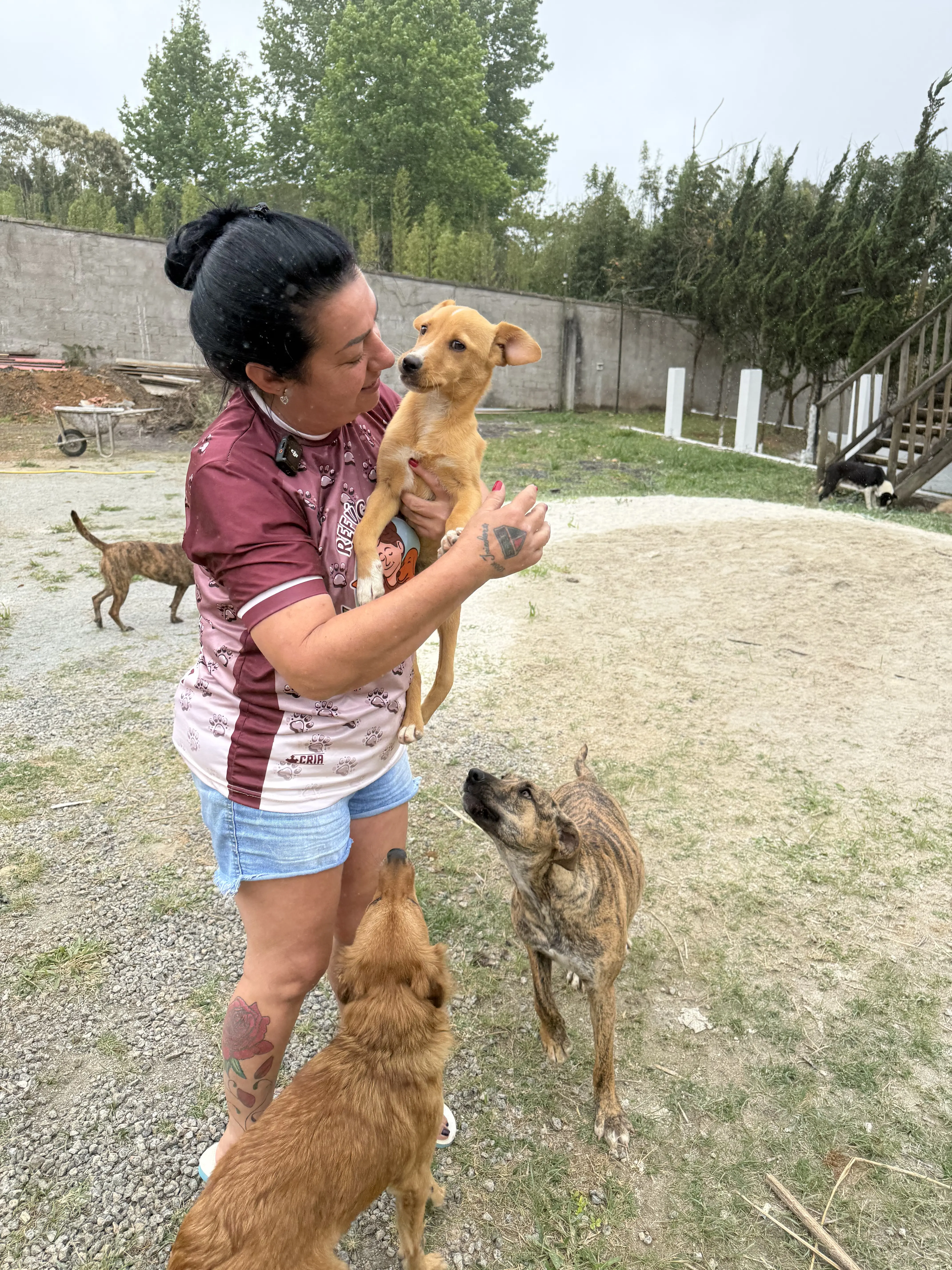 Fiora depois do resgate